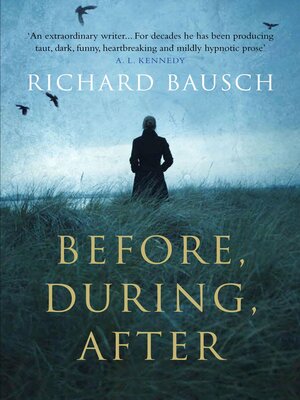 cover image of Before, During, After